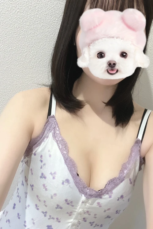 紫苑